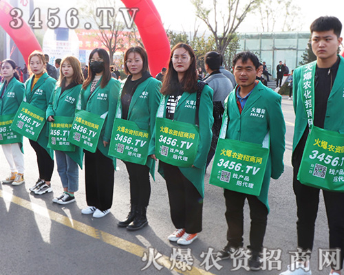 rYW־P鞢M2019ɽ|ֲ
