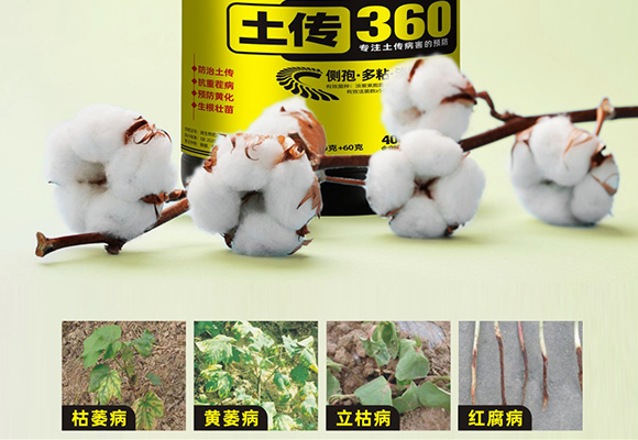 台湾豆本豆生化品详情页1_08.jpg