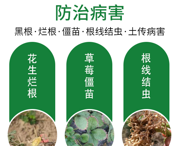 保花膨果肥-田園季豐-大豐肥業(yè) 保花膨果肥-田園季豐-大豐肥業(yè)