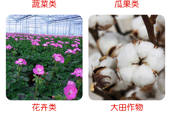 鍗楅槼甯?jìng)榫欐槆鍖栧伐鏈夐檺鍏忔駭鍝佽鎯呴〉1_07.jpg 鍗楅槼甯?jìng)榫欐槆鍖栧伐鏈夐檺鍏忔駭鍝佽鎯呴〉1_07.jpg