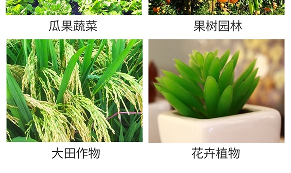 烯酰嗎啉-思達霜克-百農思達 烯酰嗎啉-思達霜克-百農思達