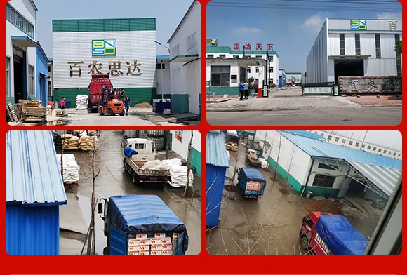 烯酰嗎啉-思達霜克-百農思達 烯酰嗎啉-思達霜克-百農思達