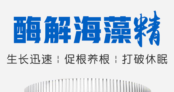 酶解海藻精-康必補-禾特康 酶解海藻精-康必補-禾特康