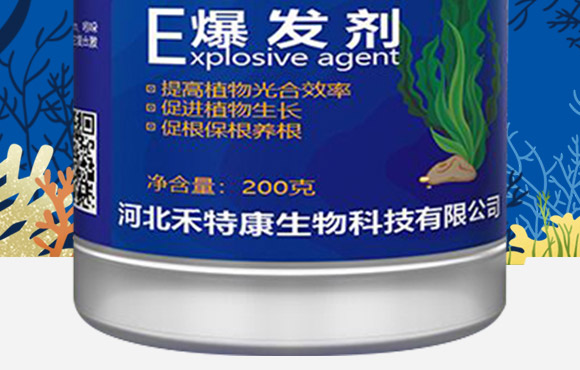 酶解海藻精-康必補-禾特康 酶解海藻精-康必補-禾特康