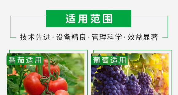酶解海藻精-康必補-禾特康 酶解海藻精-康必補-禾特康