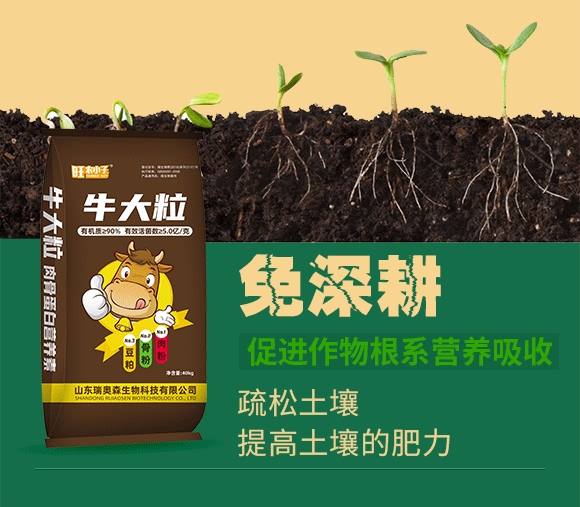 肉骨蛋白營(yíng)養(yǎng)液-牛大粒-瑞奧森 肉骨蛋白營(yíng)養(yǎng)液-牛大粒-瑞奧森