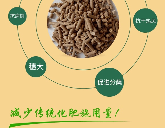 肉骨蛋白營(yíng)養(yǎng)液-牛大粒-瑞奧森 肉骨蛋白營(yíng)養(yǎng)液-牛大粒-瑞奧森