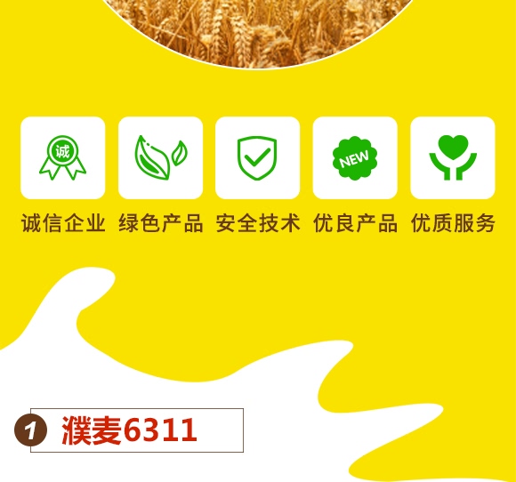 濮麥6311-小麥種子-邦邦種業 濮麥6311-小麥種子-邦邦種業