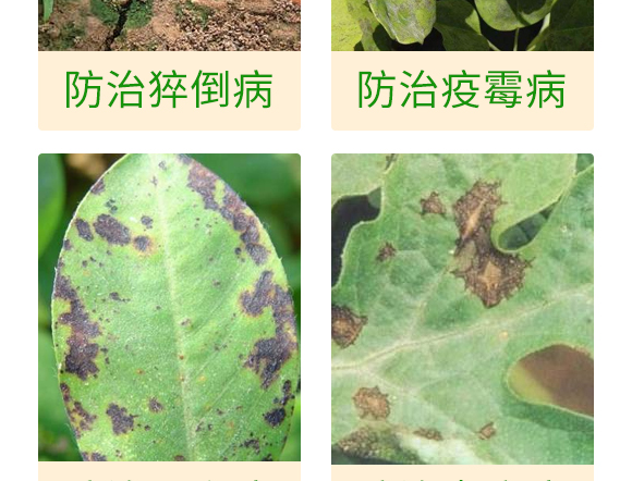 微生物肥-百香果病鏟除-瑞豐德 微生物肥-百香果病鏟除-瑞豐德