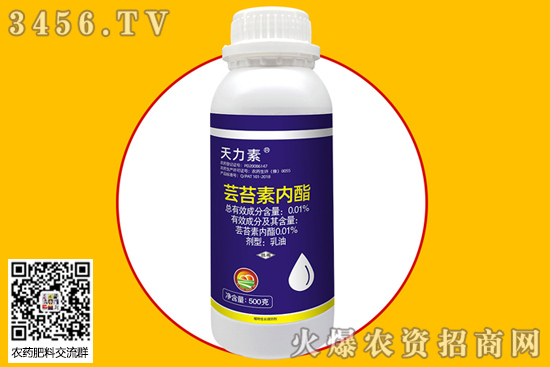 玉米可以打蕓苔素嗎 玉米幾葉能用蕓苔素 增產效果 玉米可以打蕓苔素嗎 玉米幾葉能用蕓苔素 增產效果