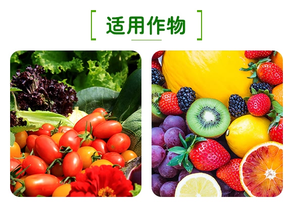50%二氯異氰尿酸鈉-恩農(nóng)帝禧-萊恩恩農(nóng) 50%二氯異氰尿酸鈉-恩農(nóng)帝禧-萊恩恩農(nóng)