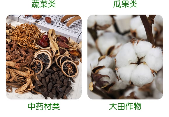 50%二氯異氰尿酸鈉-恩農(nóng)帝禧-萊恩恩農(nóng) 50%二氯異氰尿酸鈉-恩農(nóng)帝禧-萊恩恩農(nóng)