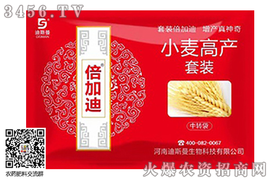 小麥價格多少錢一斤?小麥會漲到1.3元嗎?今日小麥價格表! 小麥價格多少錢一斤?小麥會漲到1.3元嗎?今日小麥價格表!