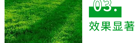 5g噁霉靈水分散粒劑-土紳-長雙農藥 5g噁霉靈水分散粒劑-土紳-長雙農藥