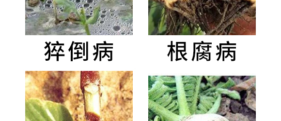 5g噁霉靈水分散粒劑-土紳-長雙農藥 5g噁霉靈水分散粒劑-土紳-長雙農藥