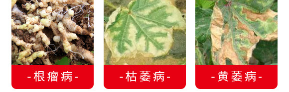 ΢עθ--_rI