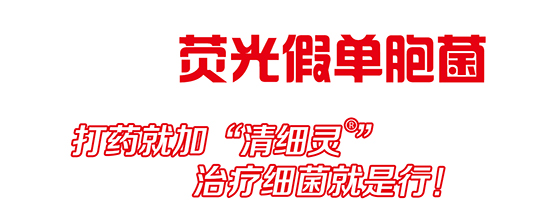 熒光假單細胞-細璽-農墾 熒光假單細胞-細璽-農墾