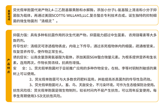 熒光假單細胞-細璽-農墾 熒光假單細胞-細璽-農墾