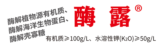 有機水溶肥料-酶露-農墾 有機水溶肥料-酶露-農墾