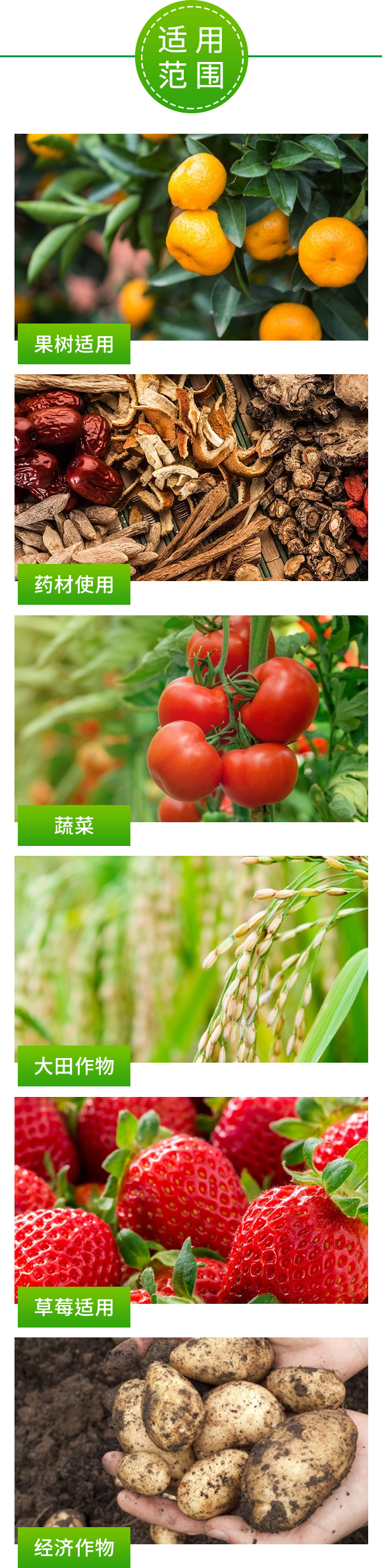 大量元素水溶?0-20-20+TE_05.jpg
