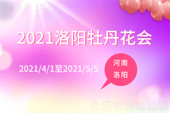 河南洛陽(yáng)牡丹花展時(shí)間是幾月幾日 洛陽(yáng)牡丹花會(huì)介紹 河南洛陽(yáng)牡丹花展時(shí)間是幾月幾日 洛陽(yáng)牡丹花會(huì)介紹