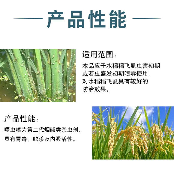 30%鍣昏櫕鍡偓嫻墏-瀹濈劧鐢熺墿_03.jpg 30%鍣昏櫕鍡偓嫻墏-瀹濈劧鐢熺墿_03.jpg