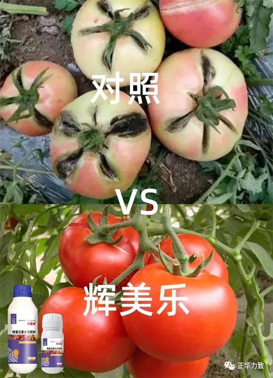 1.jpg 1.jpg