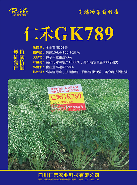 娌硅彍縐嶅瓙-浠佺GK789-浠佺鍐滀笟2.jpg 娌硅彍縐嶅瓙-浠佺GK789-浠佺鍐滀笟2.jpg