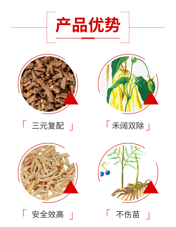 楣ゅ甯?jìng)瀵尵煄鍐滀笟绉戞妧鏈夐檺鍏徃1_03.jpg 楣ゅ甯?jìng)瀵尵煄鍐滀笟绉戞妧鏈夐檺鍏徃1_03.jpg