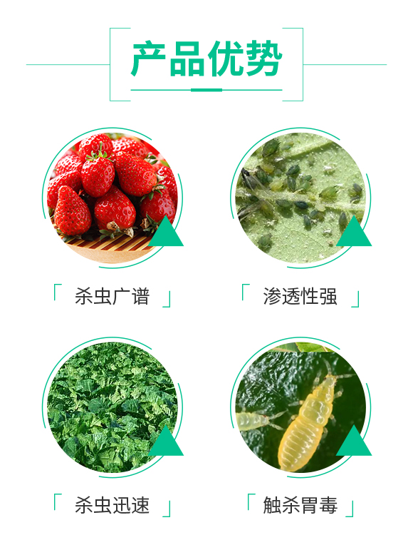 ׃成欣生物U技有限公司Q菜乡品牌）(j)_04.jpg