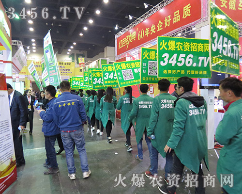全力以赴，創(chuàng)造招商奇跡