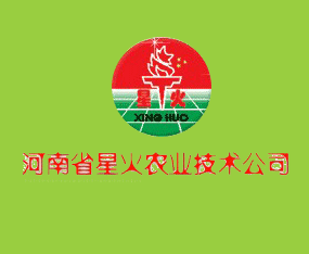 ʡǻrIg޹˾