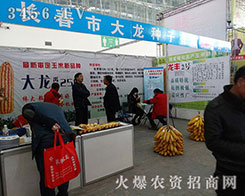 長春市大龍種子第二十一屆哈爾濱種博會成為耀眼的明星