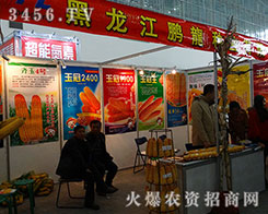 2015哈爾濱種子會， 鵬龍奮力前行