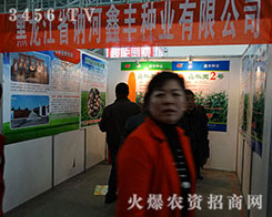 2015哈爾濱種子交易會，鑫豐種業與您相約不見不散