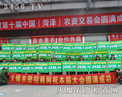 2015ʝrY3456.TV҂Լ