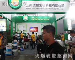躲2015rȻ