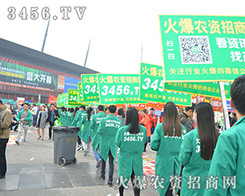 3456.TV˵˲g