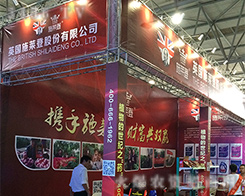 2016rYӢʩRǻȫ_ȫ