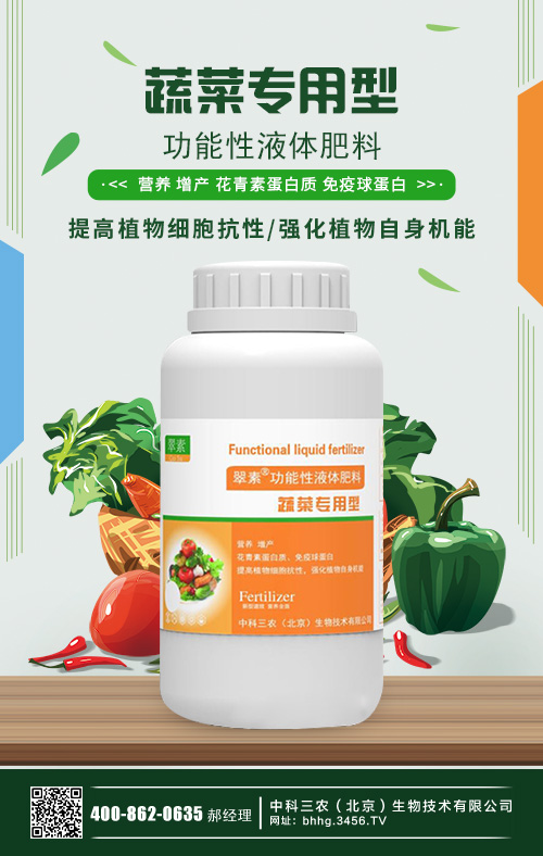 大棚蔬菜種植利潤怎么樣？大棚蔬菜種植技術大全！