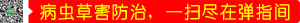 xݺΌһ߱Mڏָg