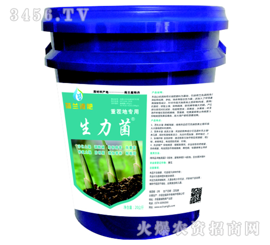 ز،(zhun)ã-mҺ
