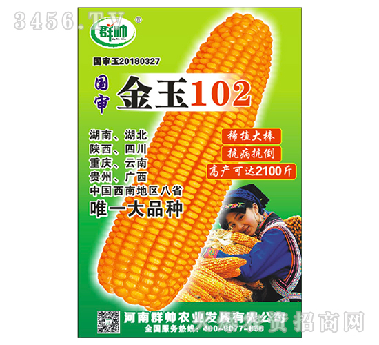 2021玉米種子什么品種好?驚喜來了!金玉102讓農民種植高產! 2021玉米種子什么品種好?驚喜來了!金玉102讓農民種植高產!