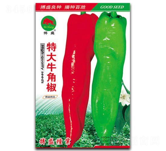 شţǽ-ţǽN-ʢNI
