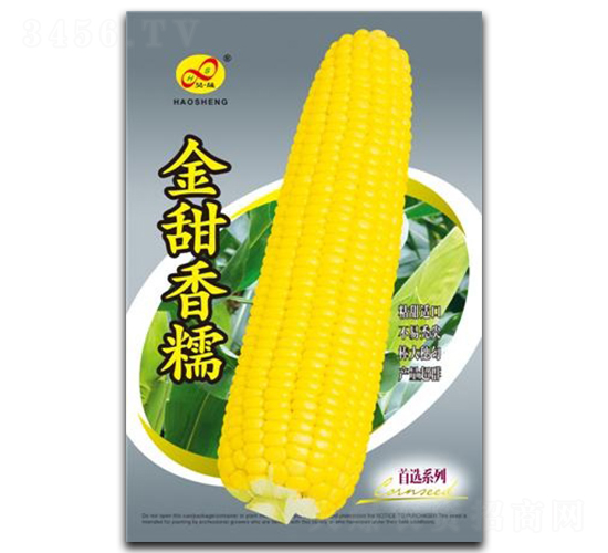 Ŵ-Ŵ׷N-ɷNI