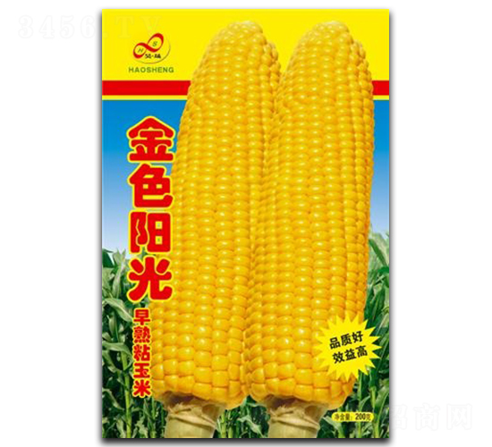 ɫꖹ-Ŵ׷N-ɷNI