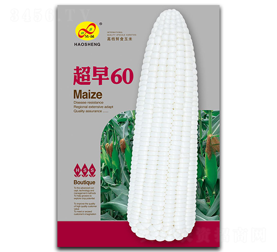 60-Ŵ׷N-ɷNI