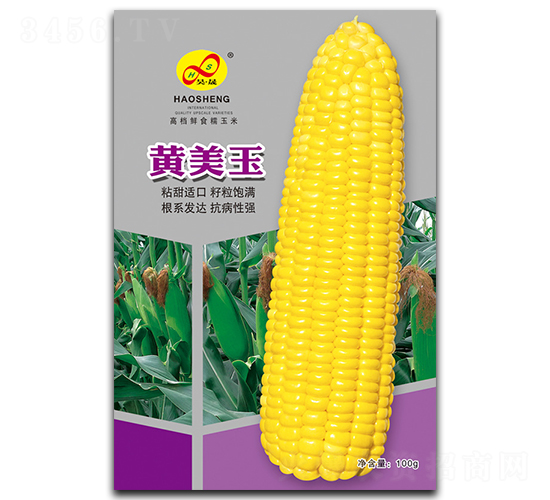 S-Ŵ׷N-ɷNI