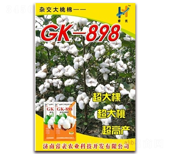 GK-898-޻N-rI