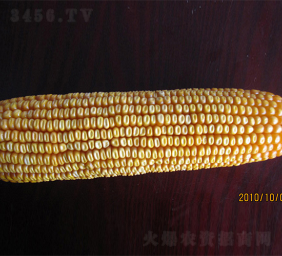 r8-׷N-rNI
